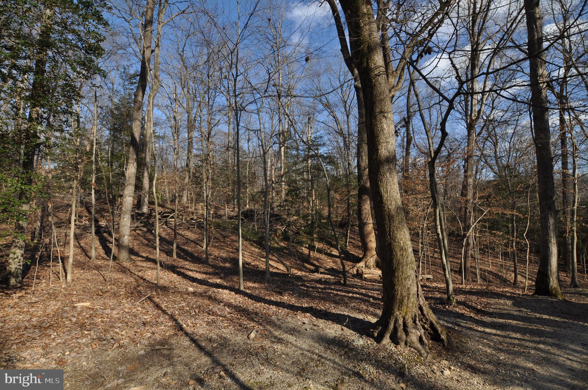 MOYAONE RESERVE - Land