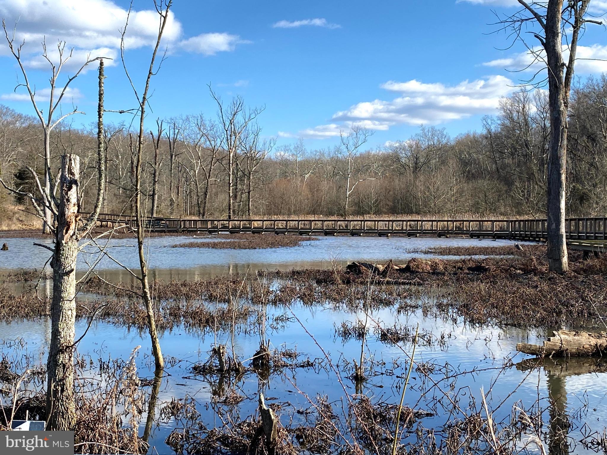 MOYAONE RESERVE - Land