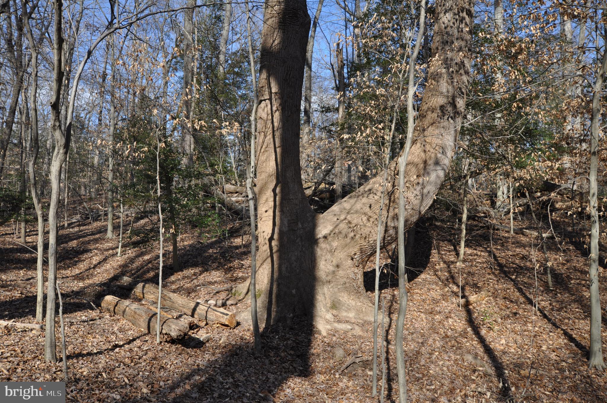 MOYAONE RESERVE - Land