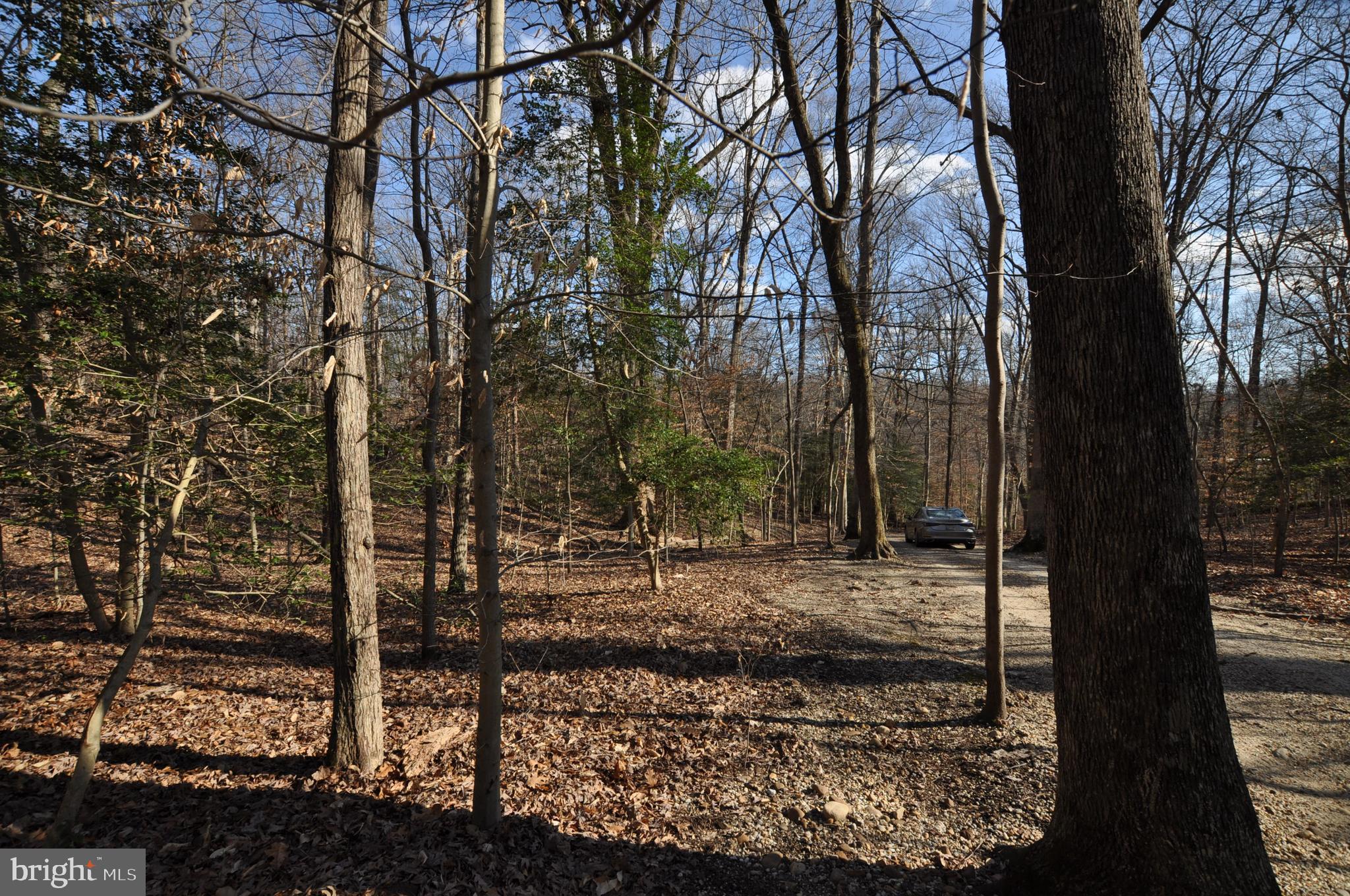 MOYAONE RESERVE - Land