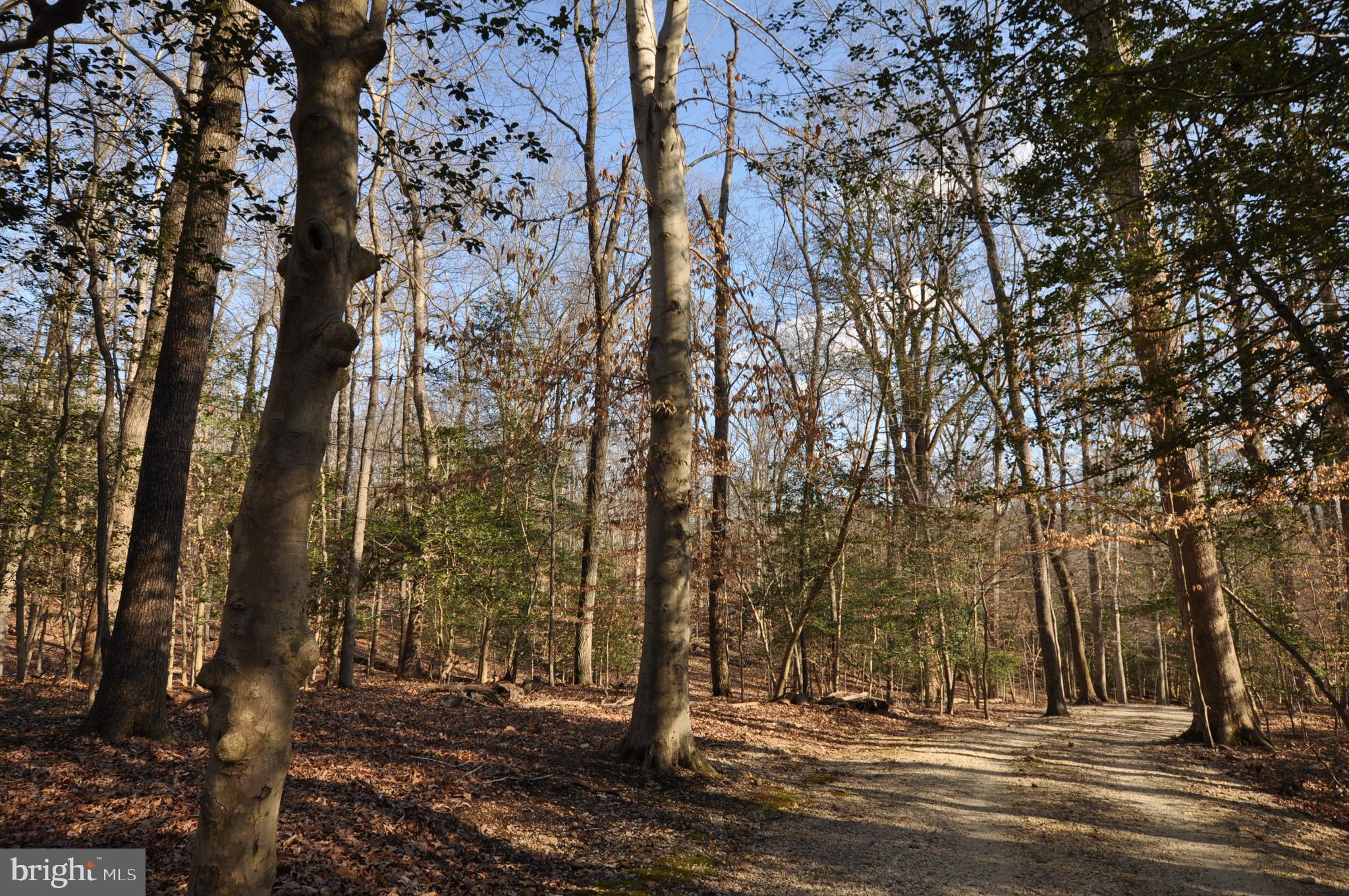 MOYAONE RESERVE - Land