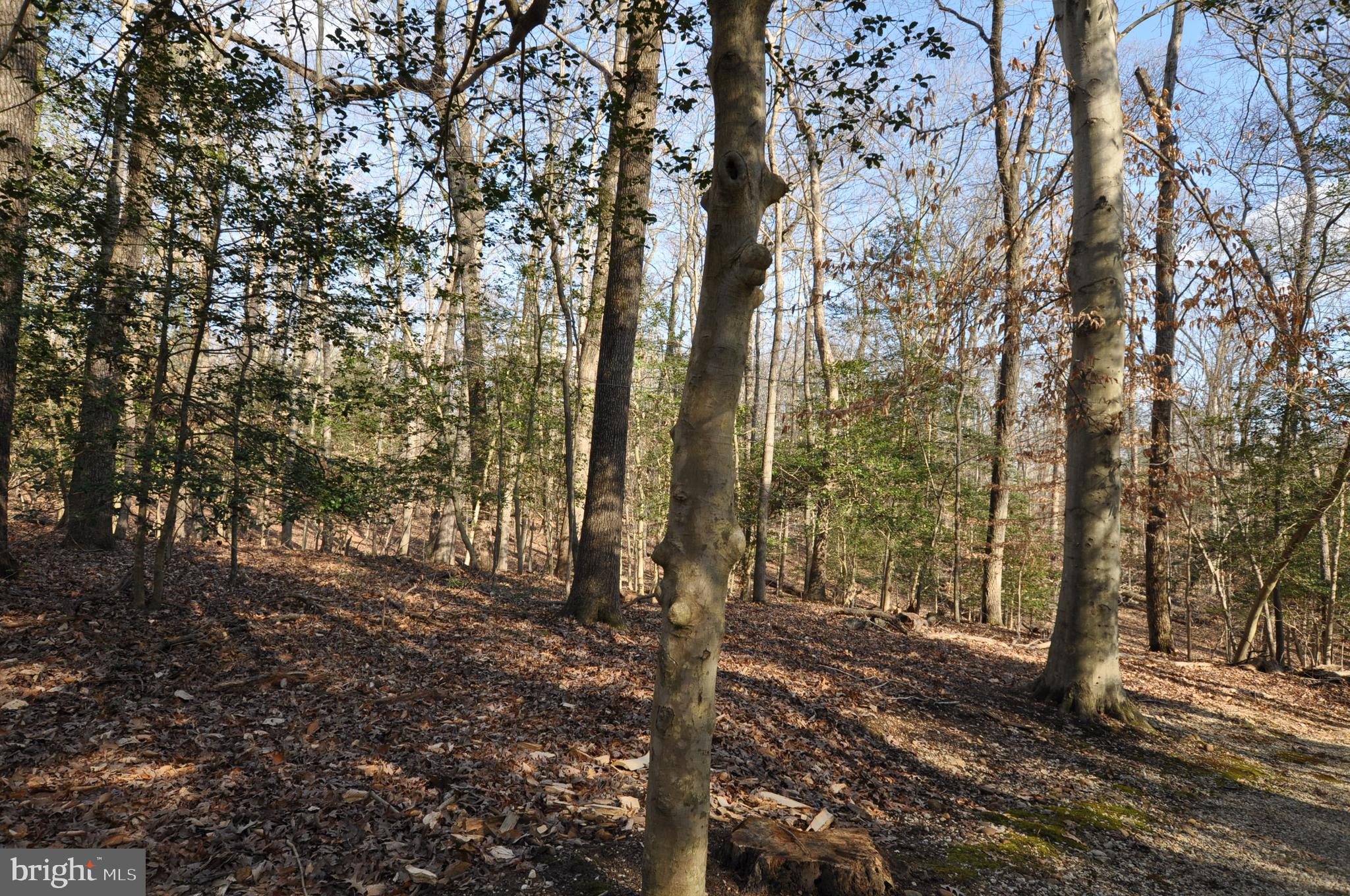 MOYAONE RESERVE - Land