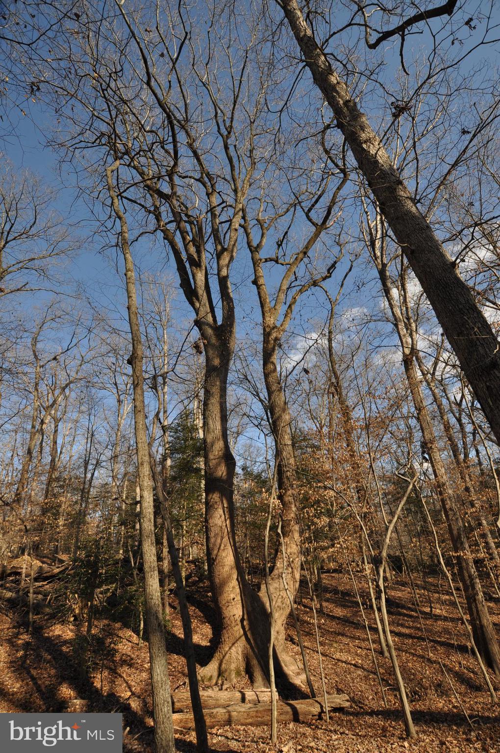 MOYAONE RESERVE - Land