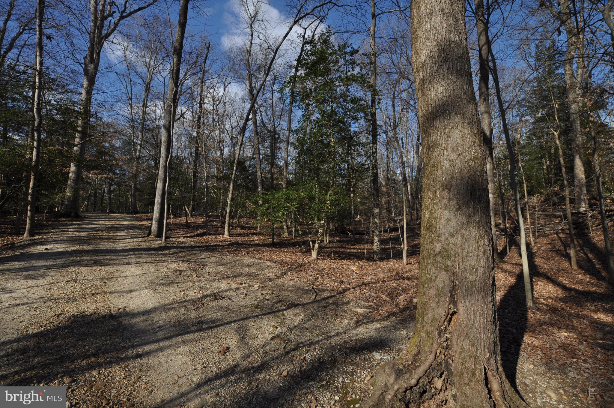 MOYAONE RESERVE - Land