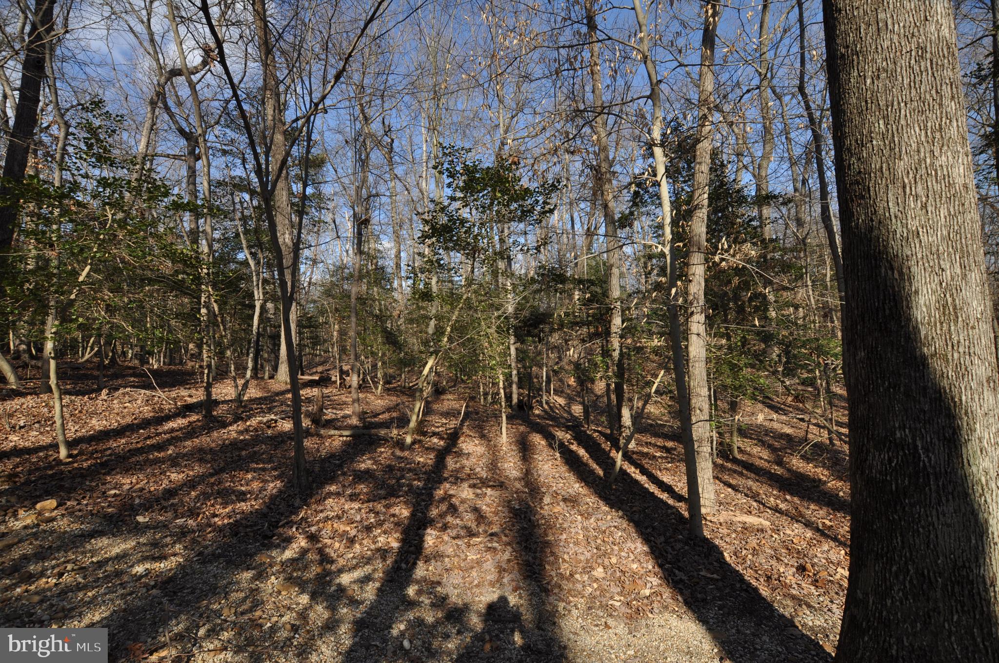 MOYAONE RESERVE - Land