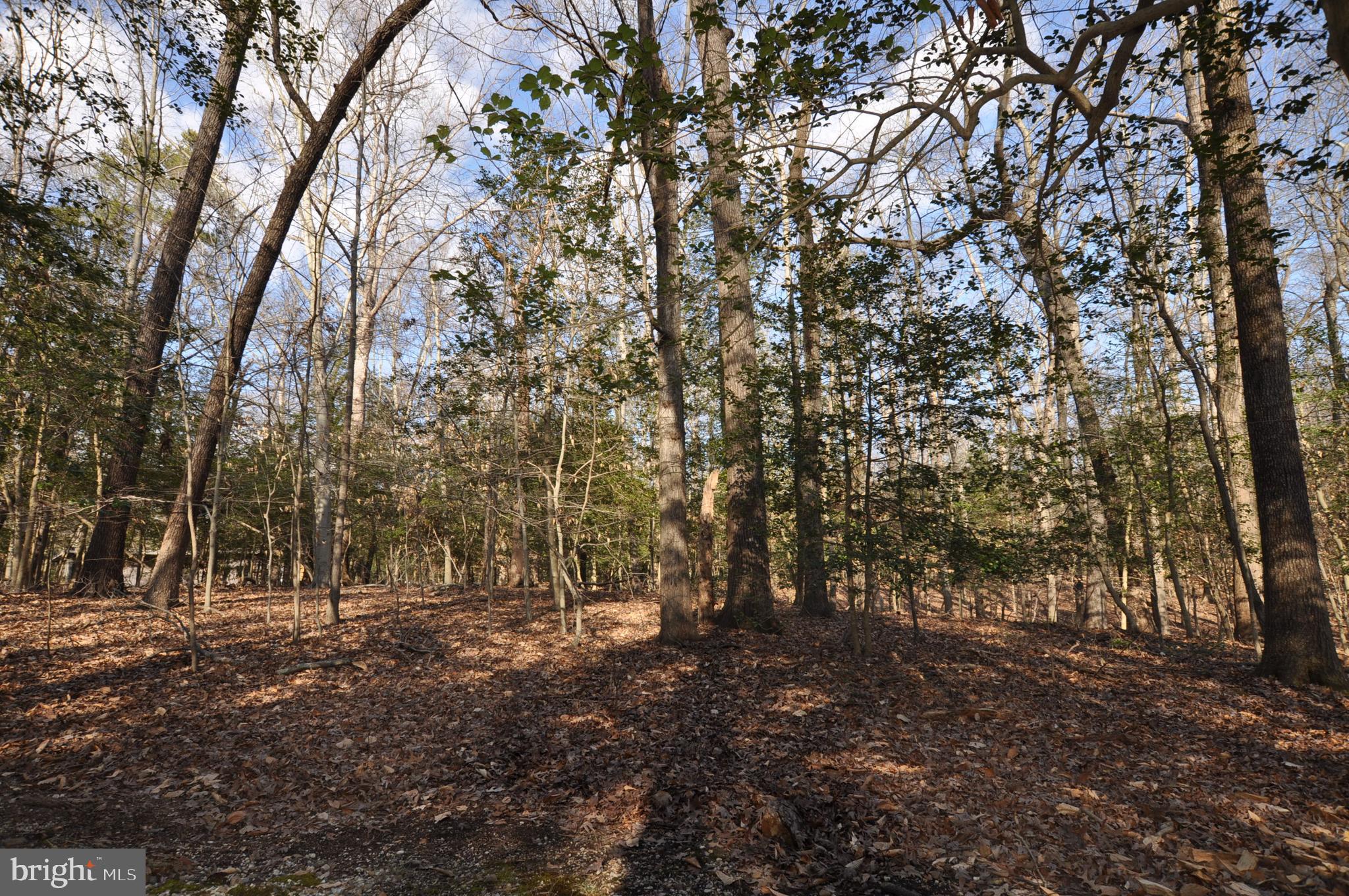 MOYAONE RESERVE - Land