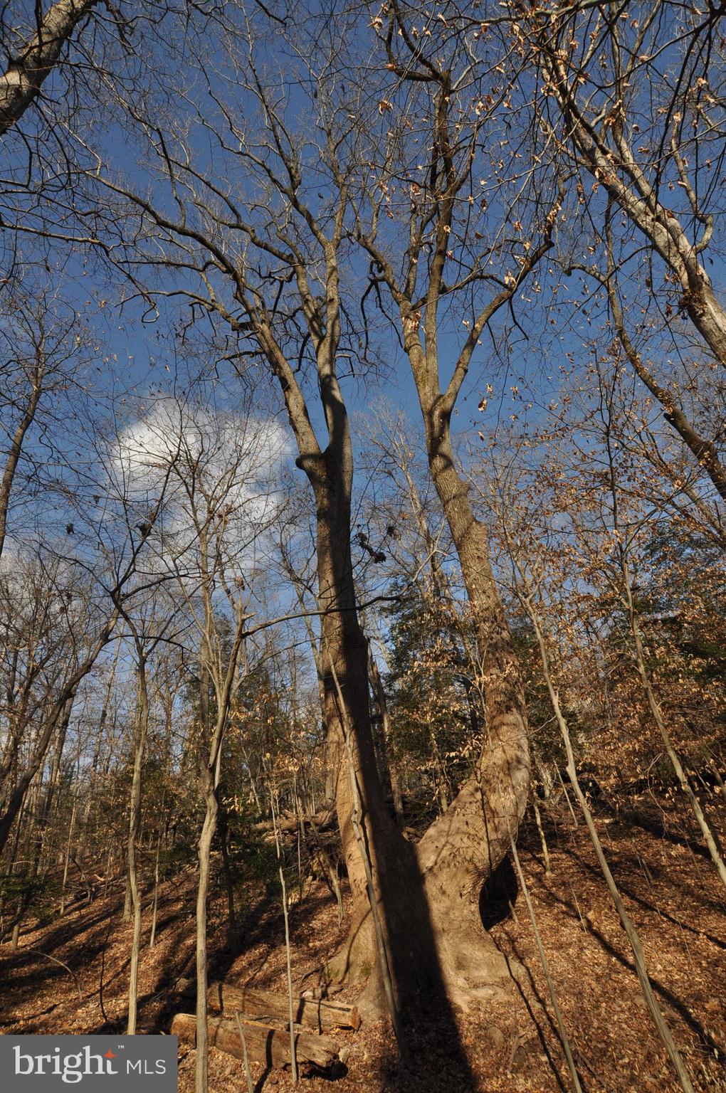 MOYAONE RESERVE - Land