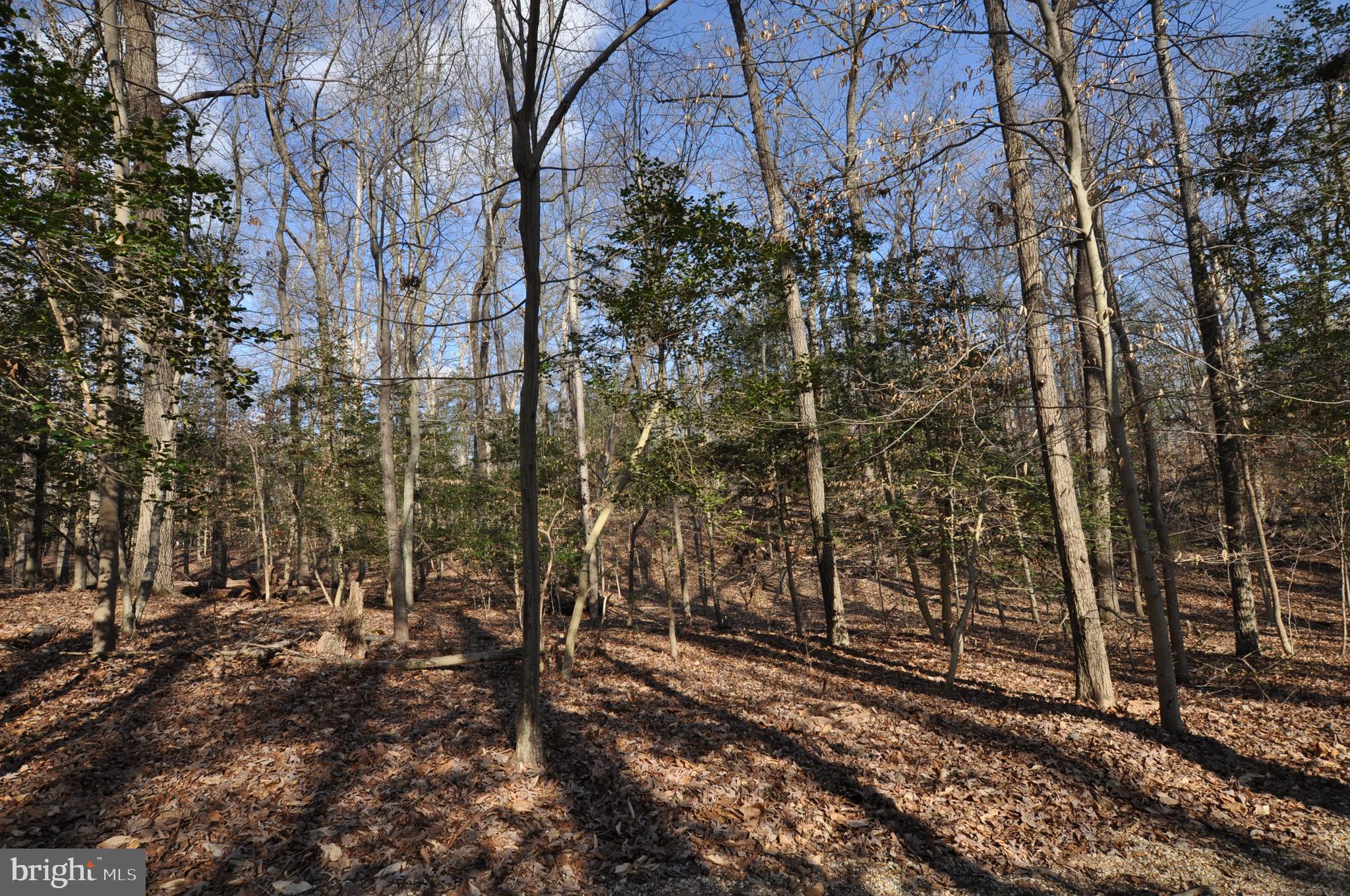 MOYAONE RESERVE - Land