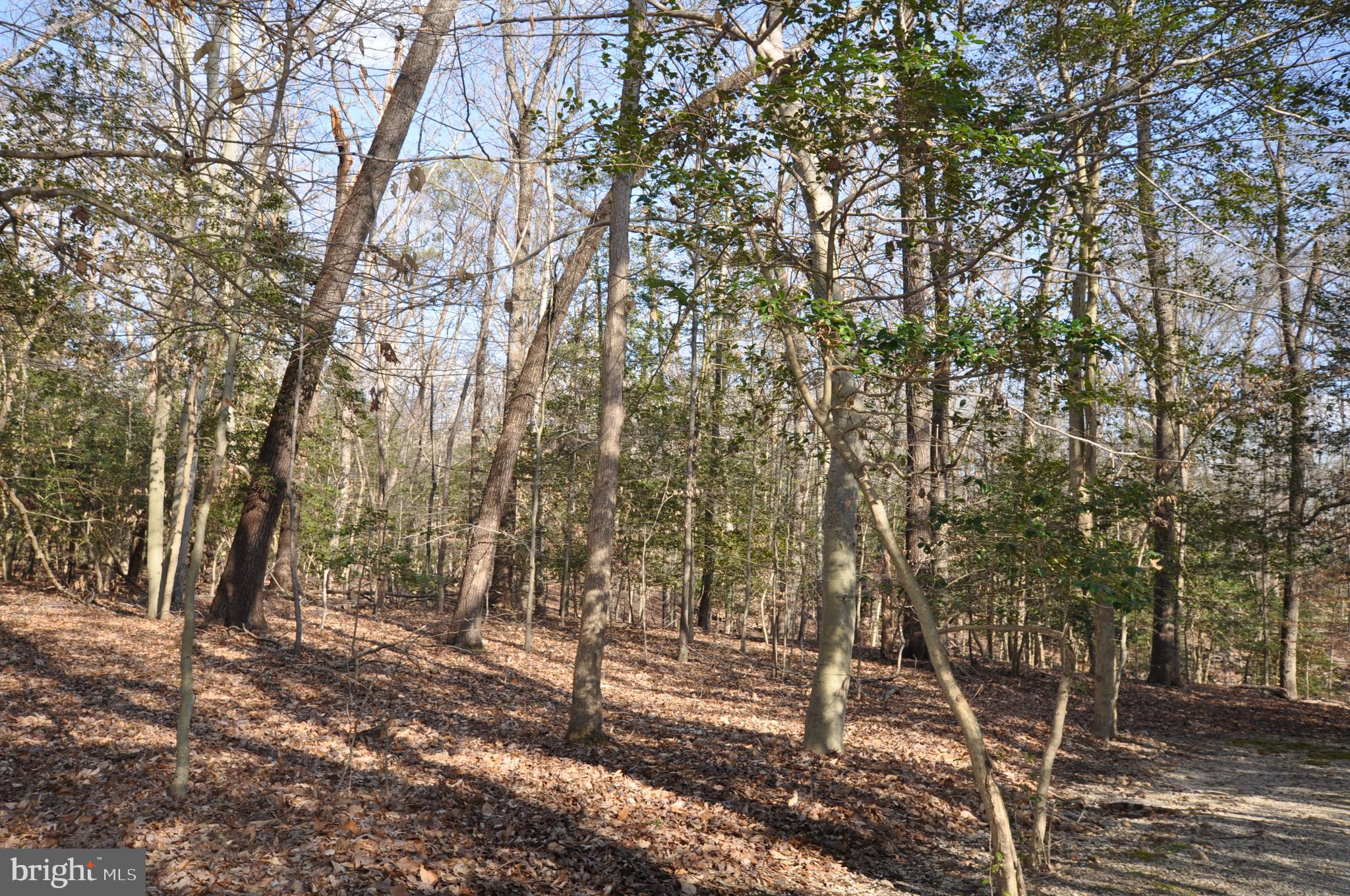 MOYAONE RESERVE - Land