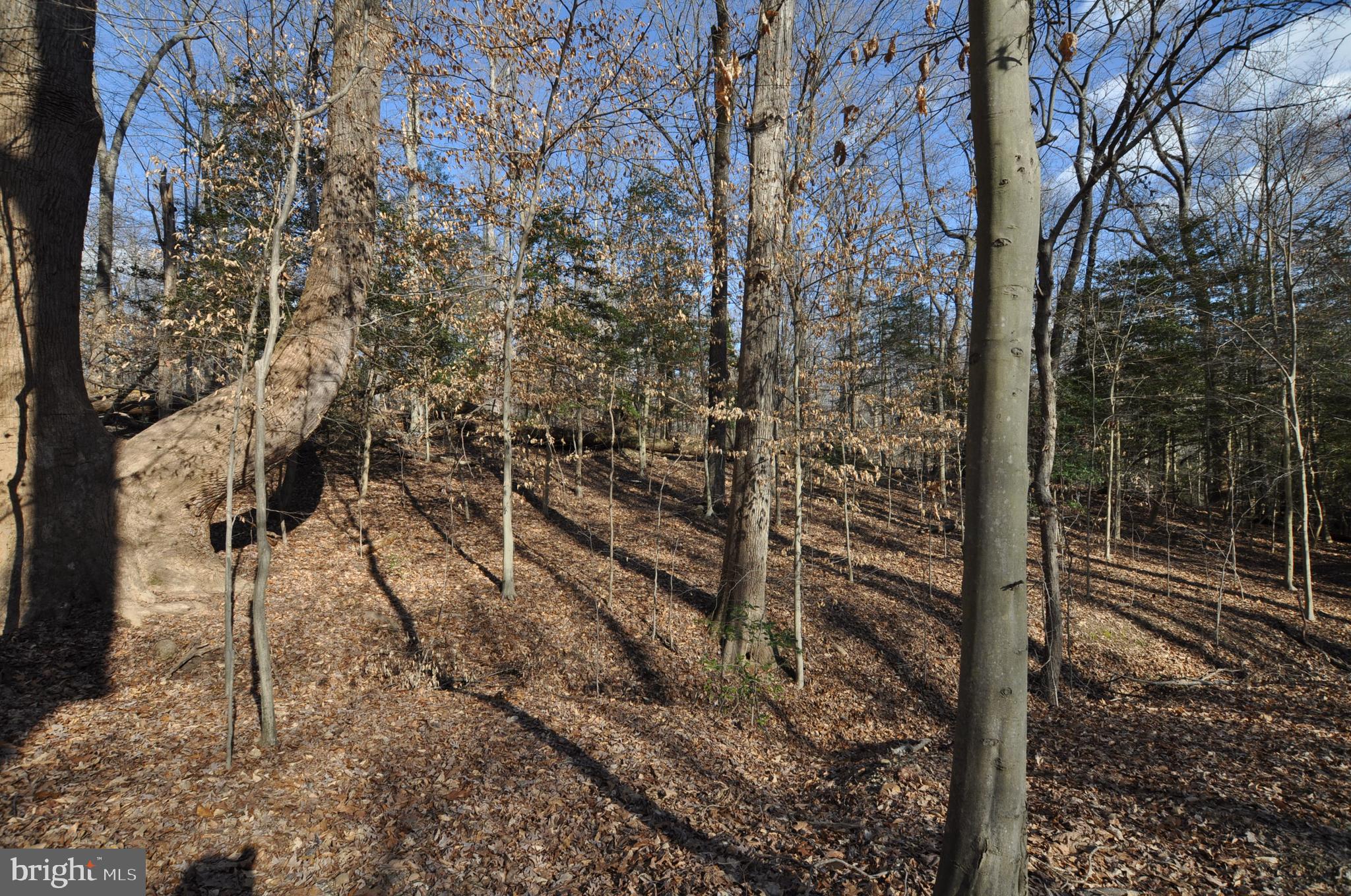 MOYAONE RESERVE - Land