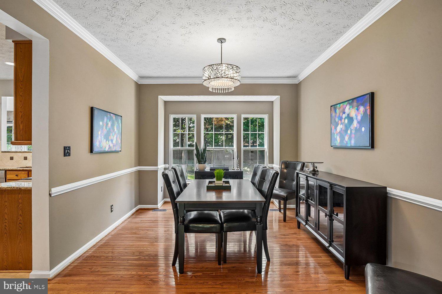 217 RACCOON RUN COURT