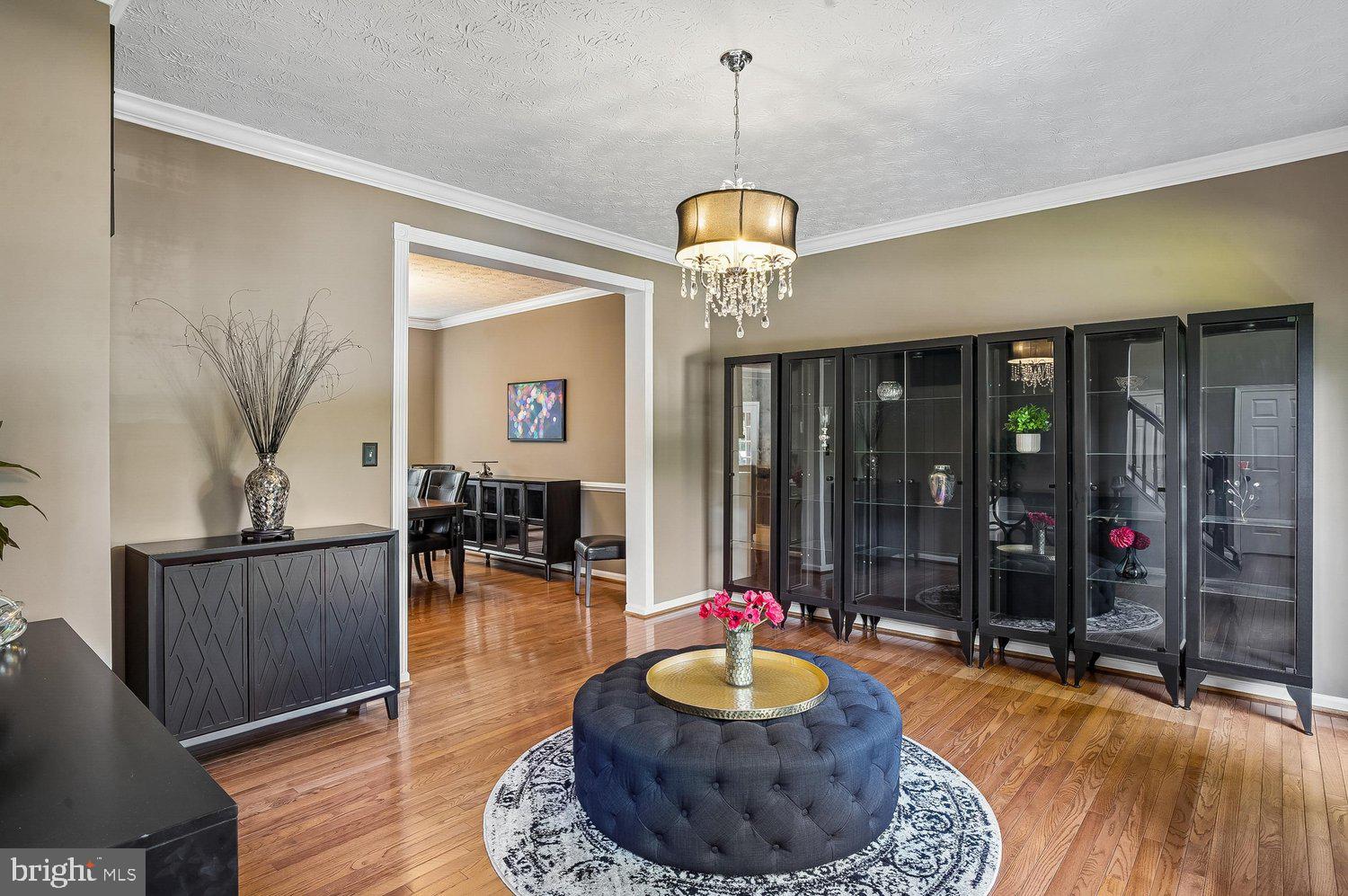 217 RACCOON RUN COURT