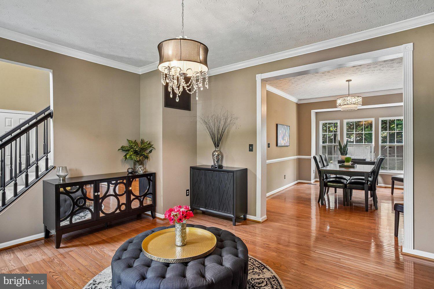 217 RACCOON RUN COURT