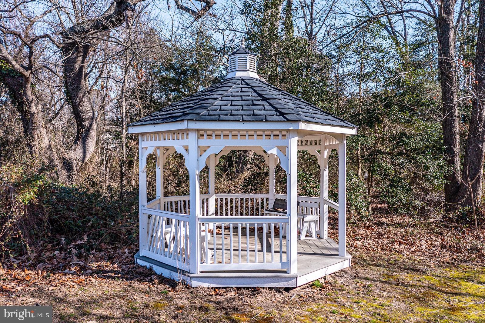 CHESAPEAKE WATCH - Residential