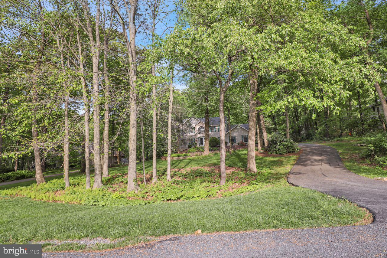 FOREST RIDGE - Residential