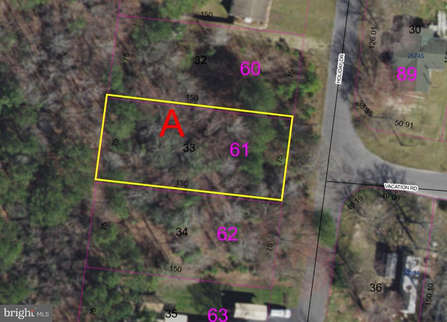 Coastal Living Starts Here! This exceptional 0.25-acre wooded lot is perfectly positioned for the best of coastal Delaware. Enjoy natural tranquility while being minutes from Millsboro and Longneck shopping and dining options. Golf enthusiasts will love the quick access to the prestigious Baywood Greens Golf Course. Don't miss your opportunity to Invest in this convenient, rapidly growing Sussex County location today!