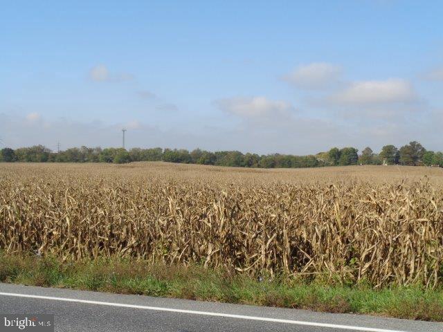 NONE AVAILABLE - Land