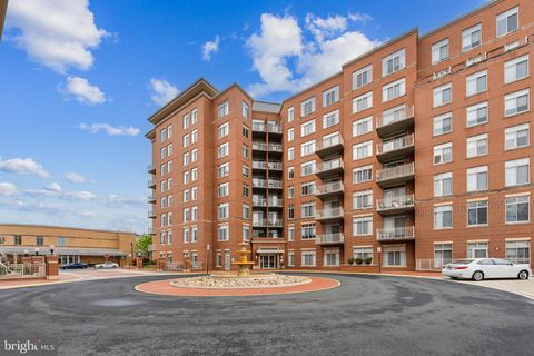 4490 MARKET COMMONS DRIVE 202 FAIRFAX VA 22033