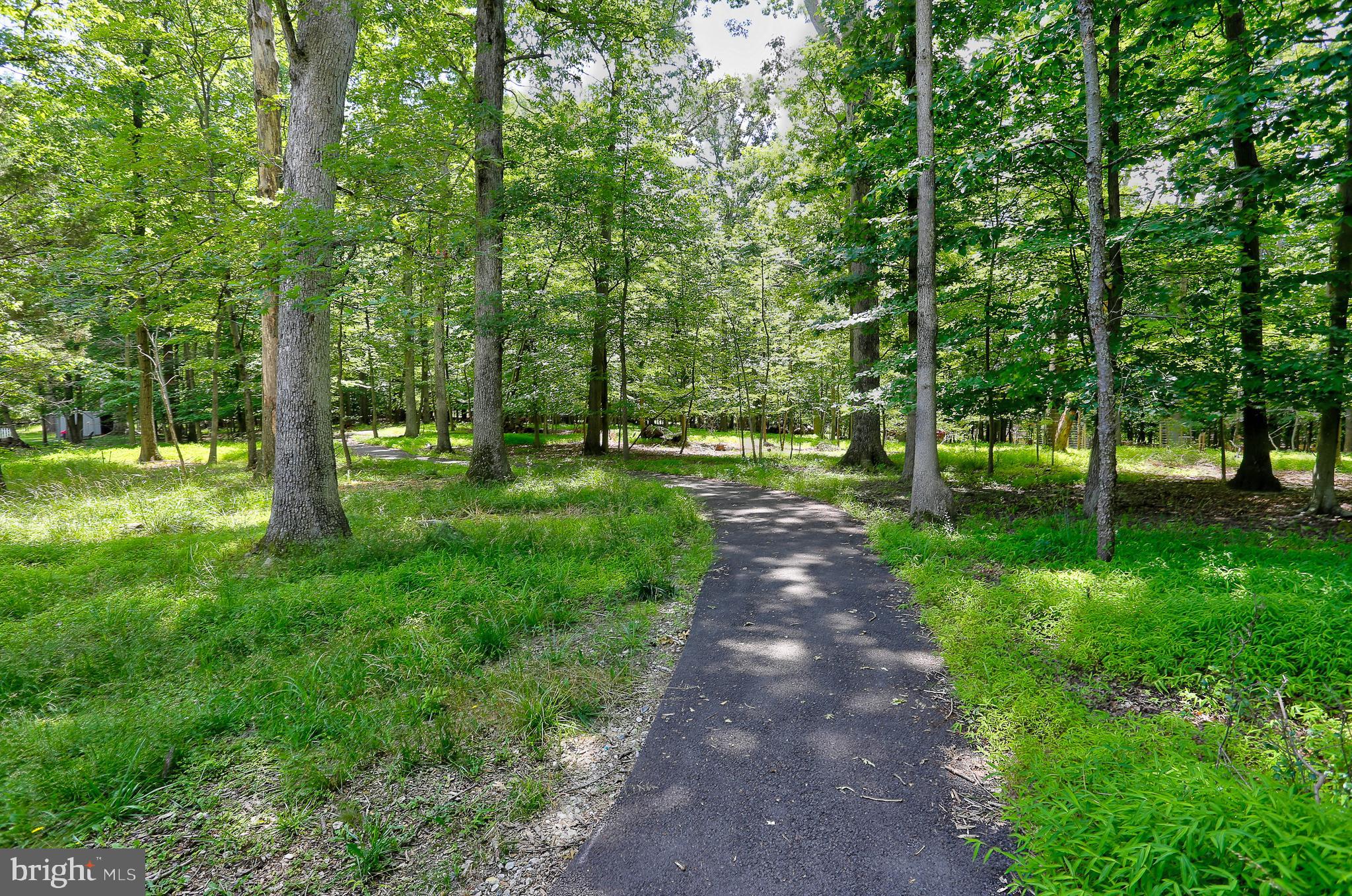 ELLICOTT MILLS - Residential