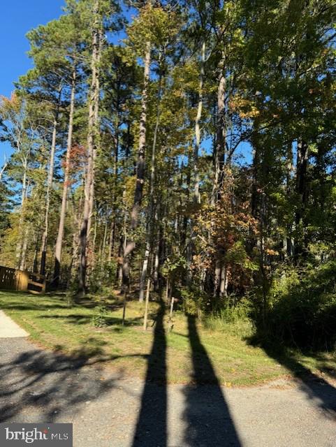 Lot 8 ACKERMAN DRIVE