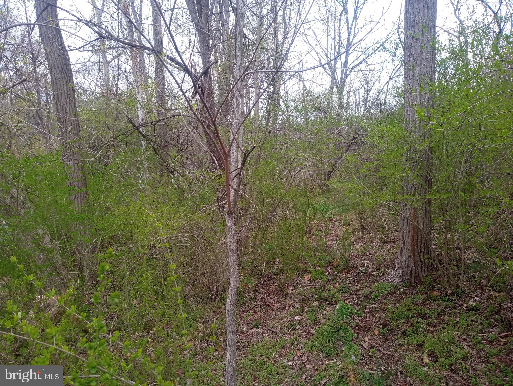 875 KRUMSVILLE ROAD