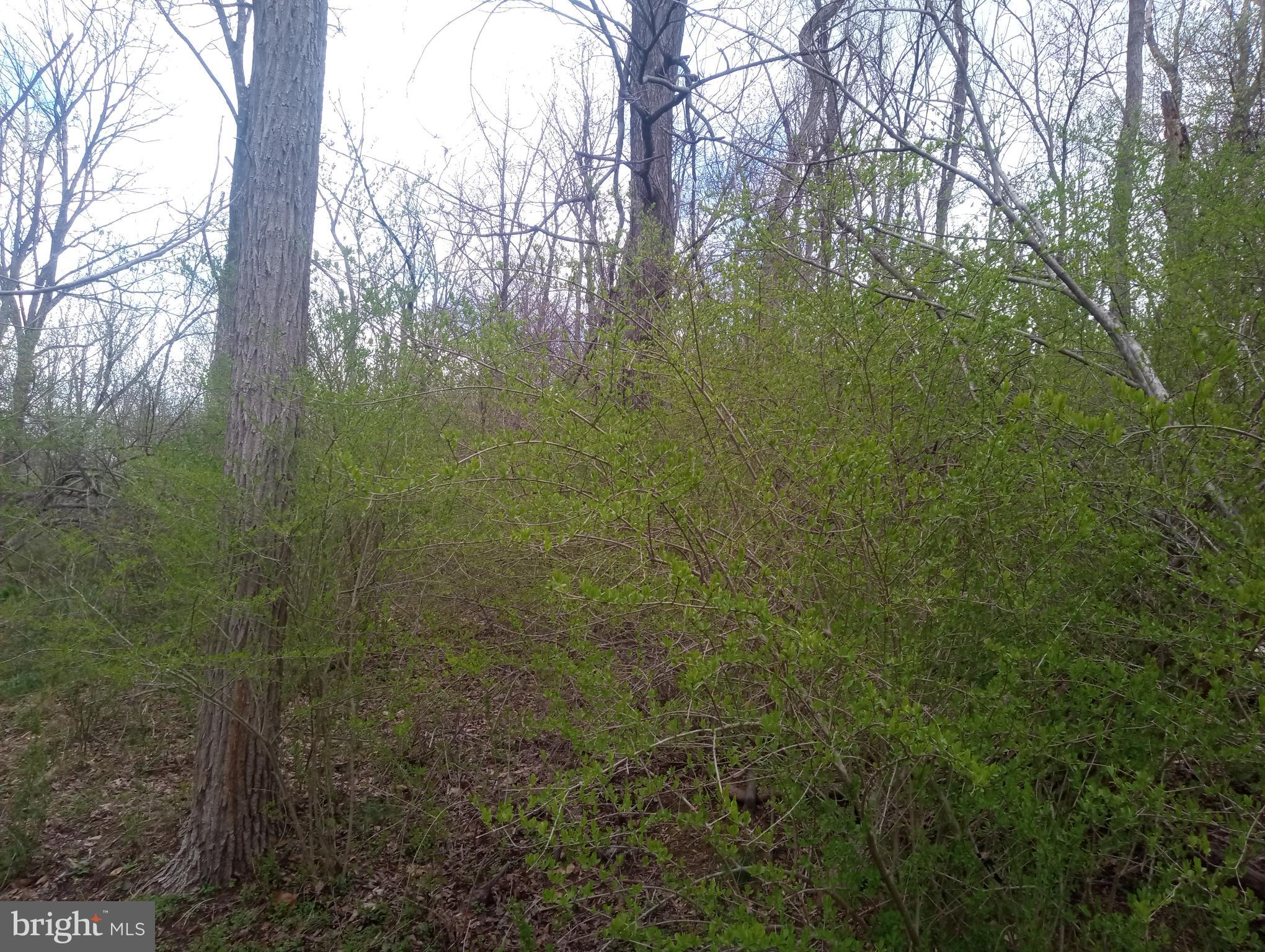 875 KRUMSVILLE ROAD