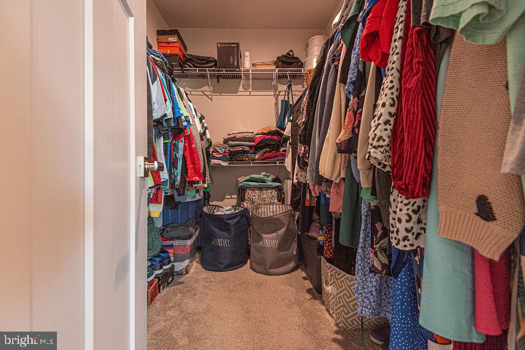 BAYSIDE - Residential