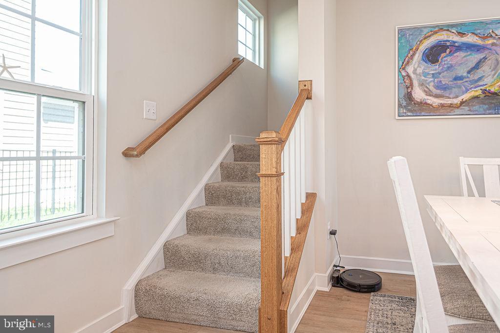 BAYSIDE - Residential