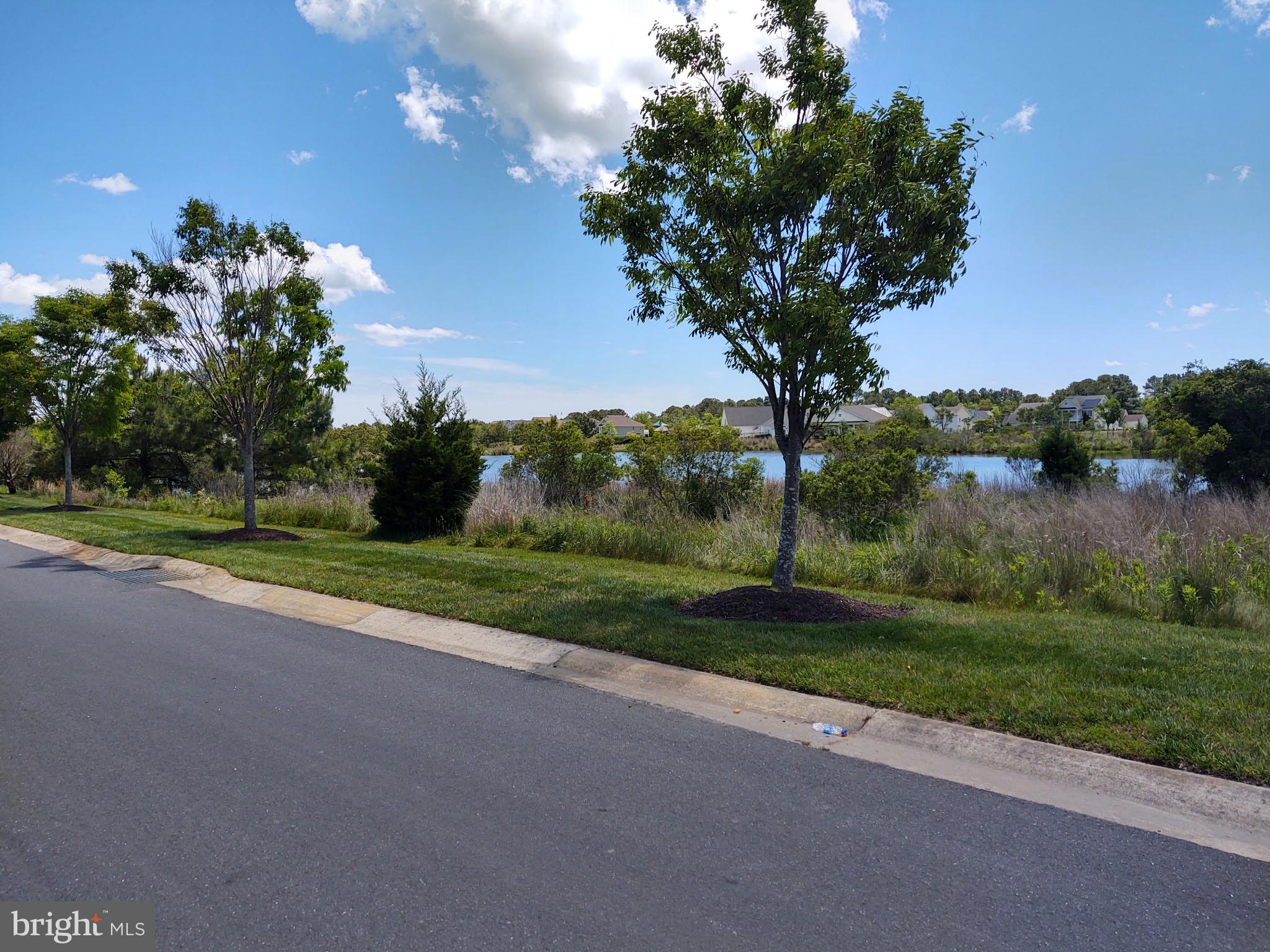 BAYSIDE - Residential