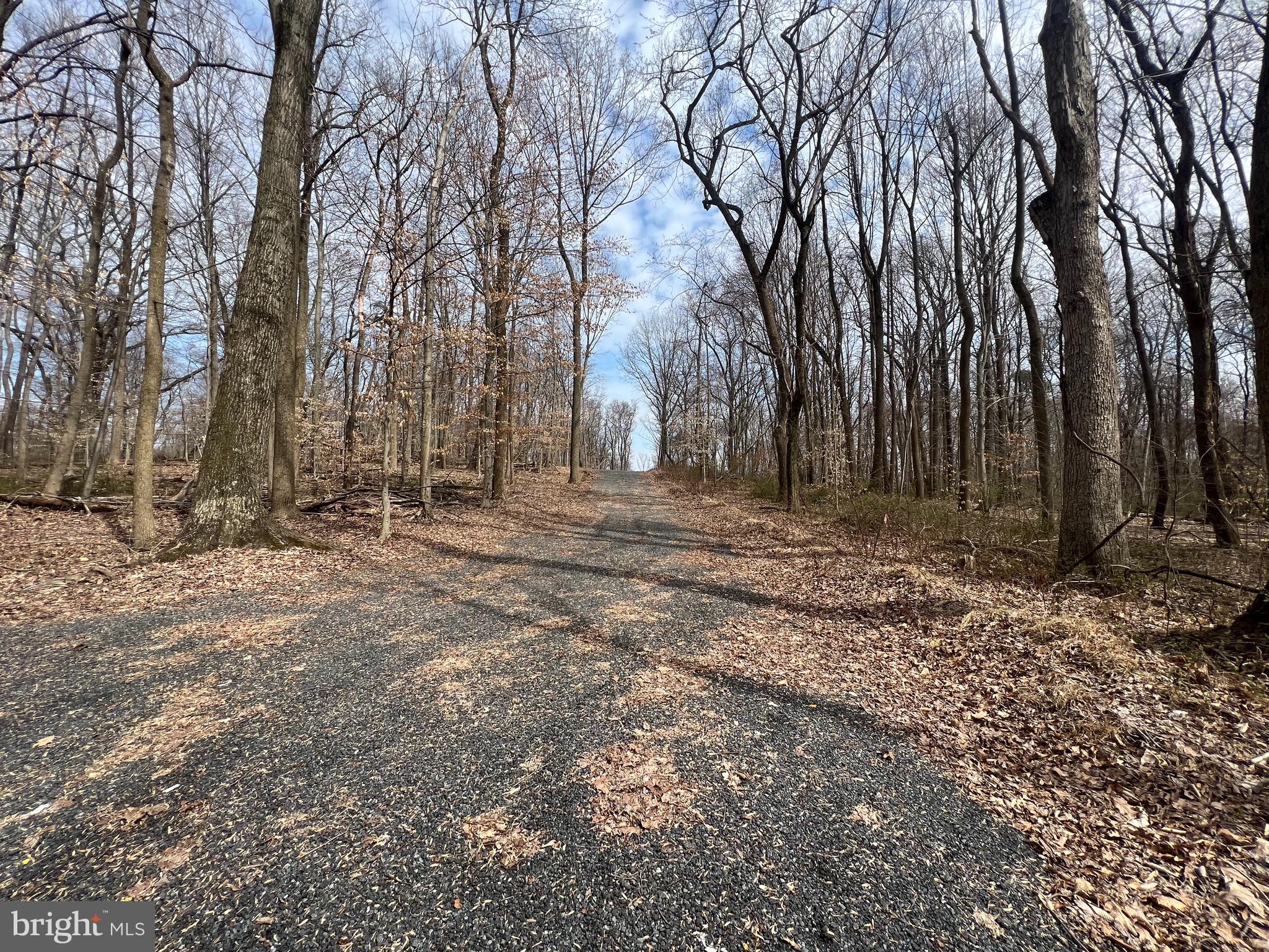 MULLINS COURT - Land