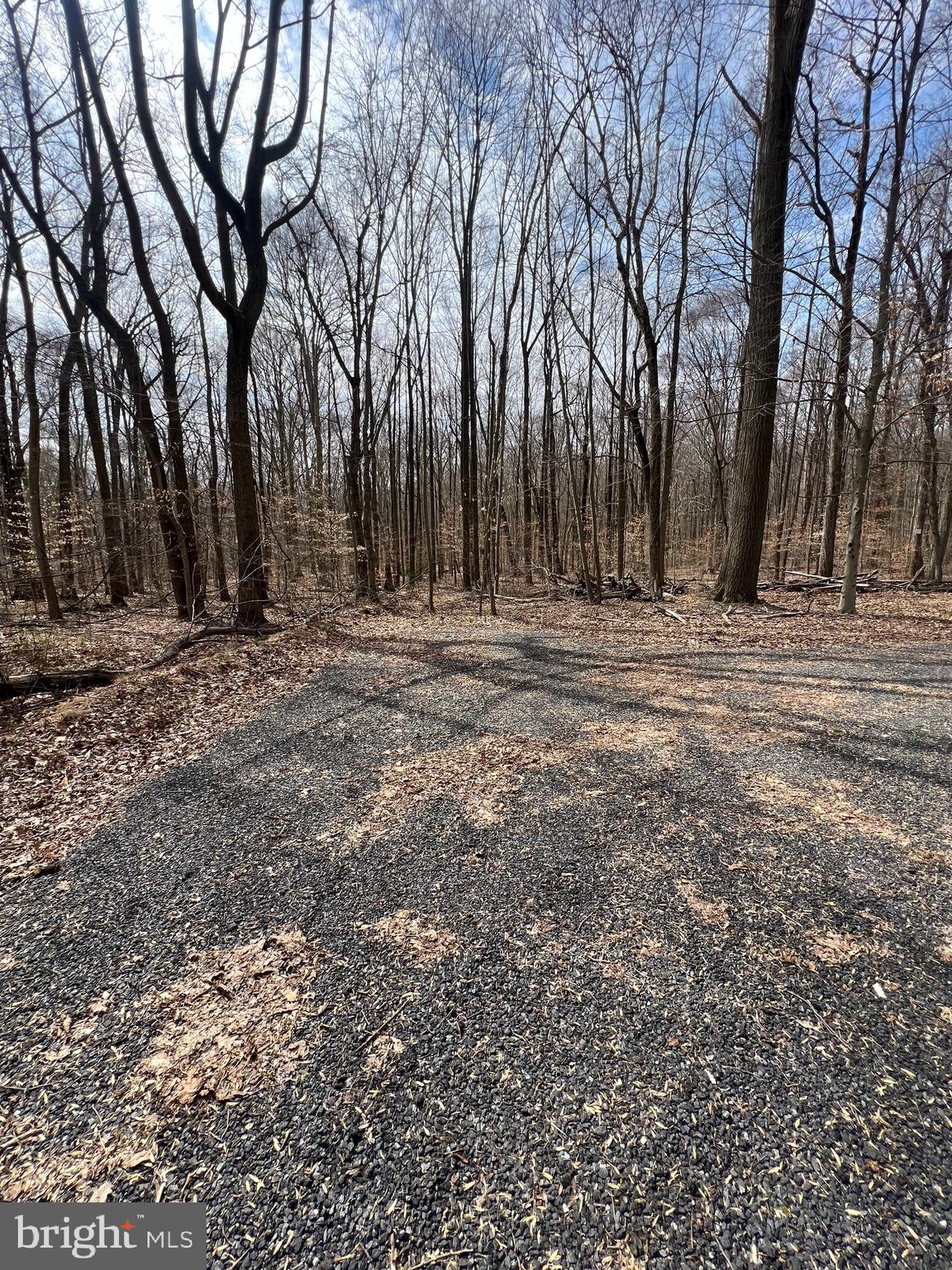 MULLINS COURT - Land