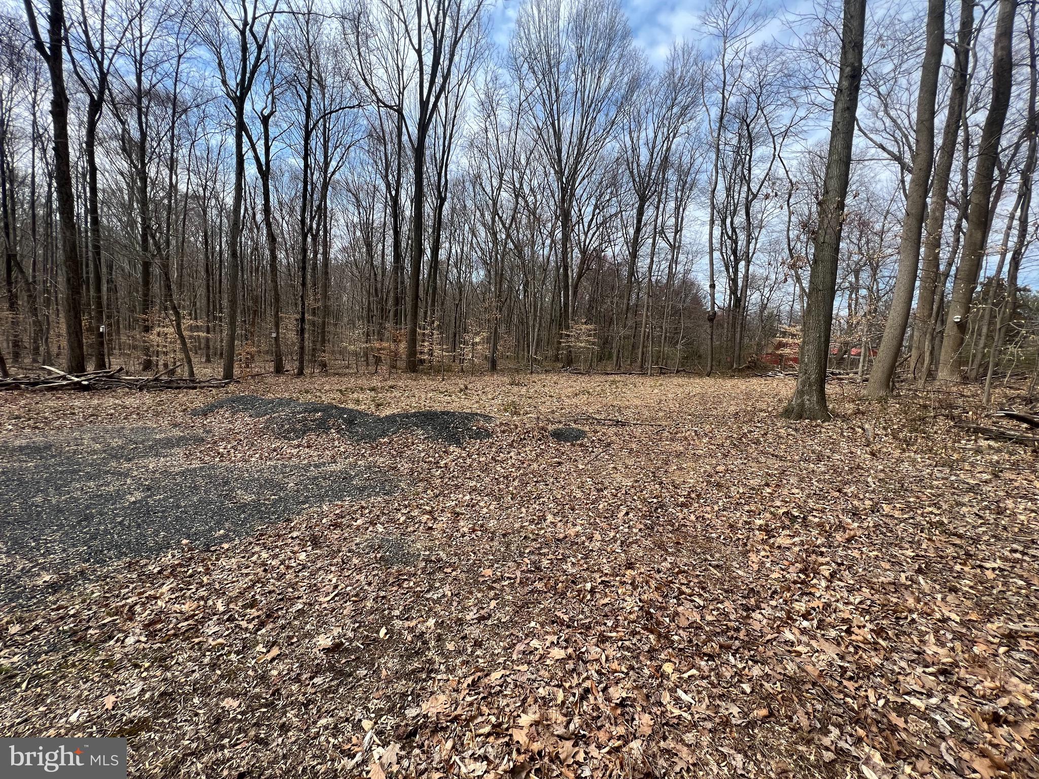 MULLINS COURT - Land