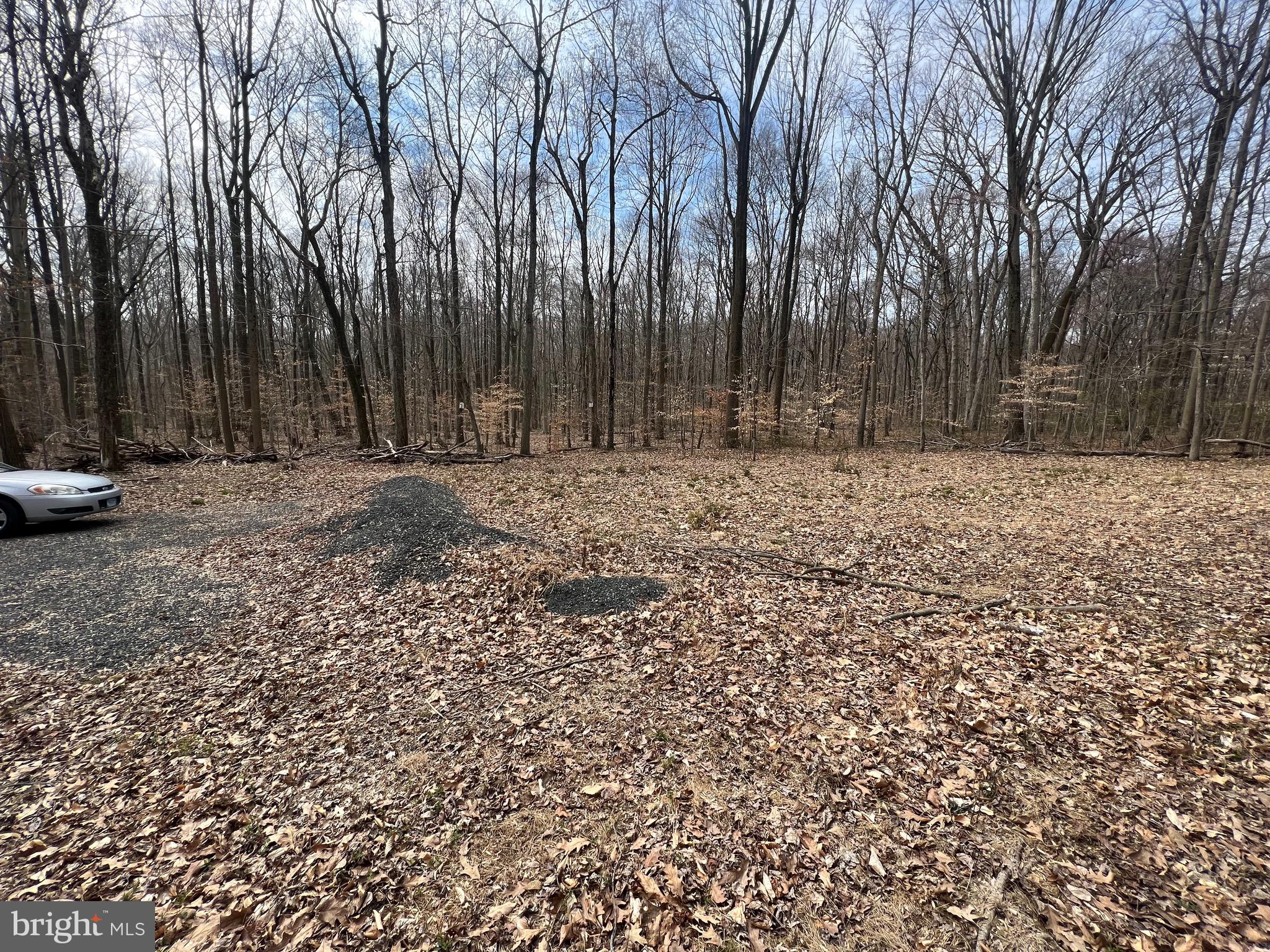 MULLINS COURT - Land