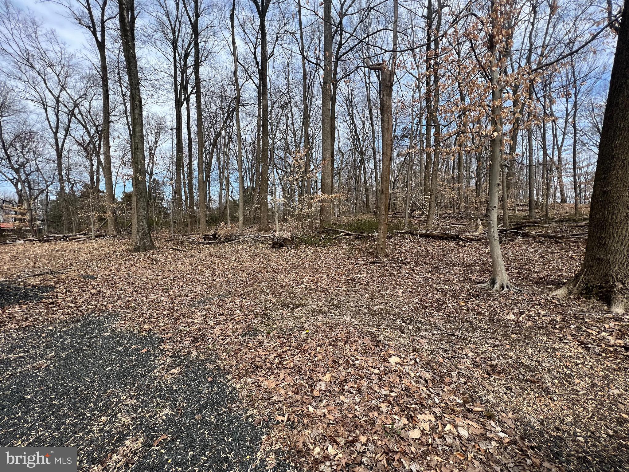 MULLINS COURT - Land