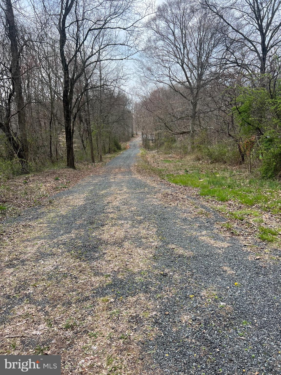 MULLINS COURT - Land