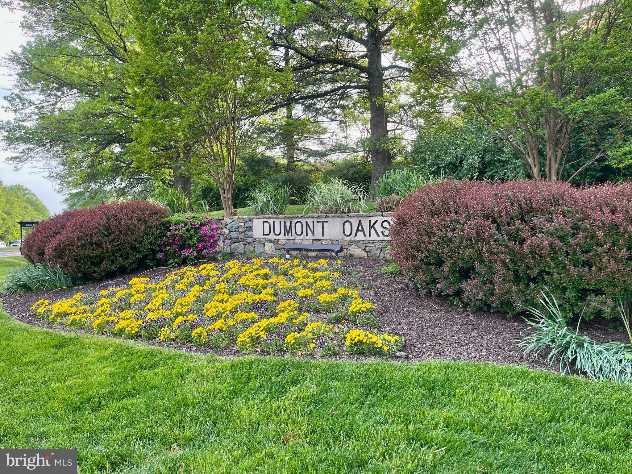DUMONT OAKS - Residential