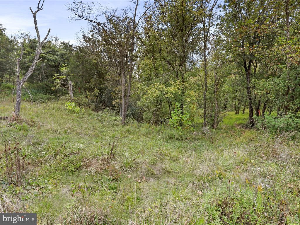 Photo of Andrews Road, STRASBURG, VA 22657 (MLS # VAWR2012442)