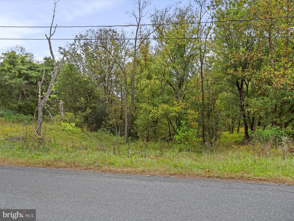 Photo of Andrews Road, STRASBURG, VA 22657 (MLS # VAWR2012442)