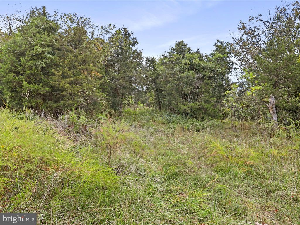 Photo of Andrews Road, STRASBURG, VA 22657 (MLS # VAWR2012442)