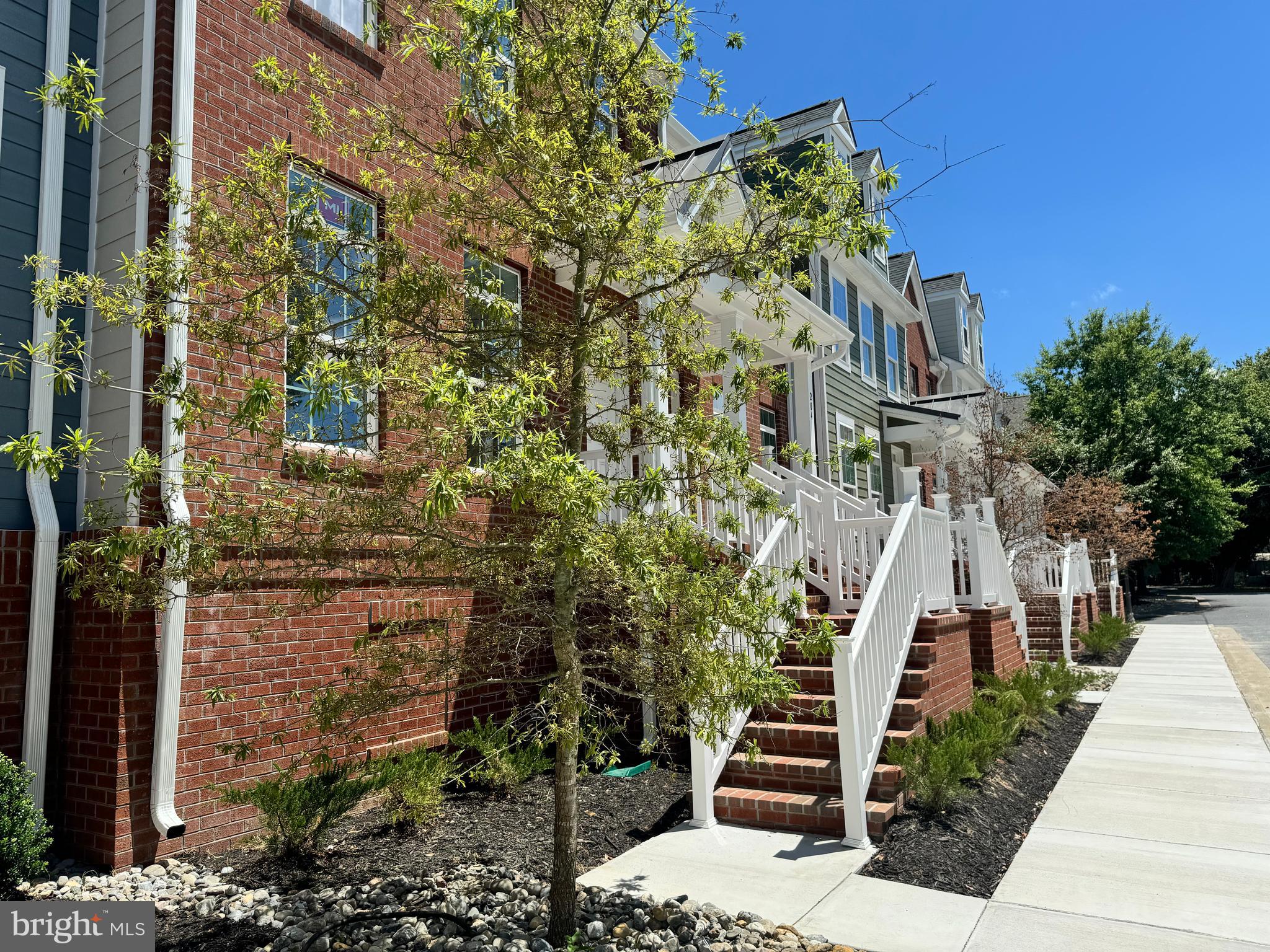 300 DIXON STREET 205