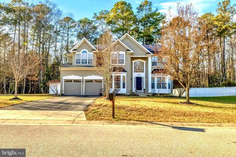 21355 BIRDSEYE COURT LEXINGTON PARK MD 20653