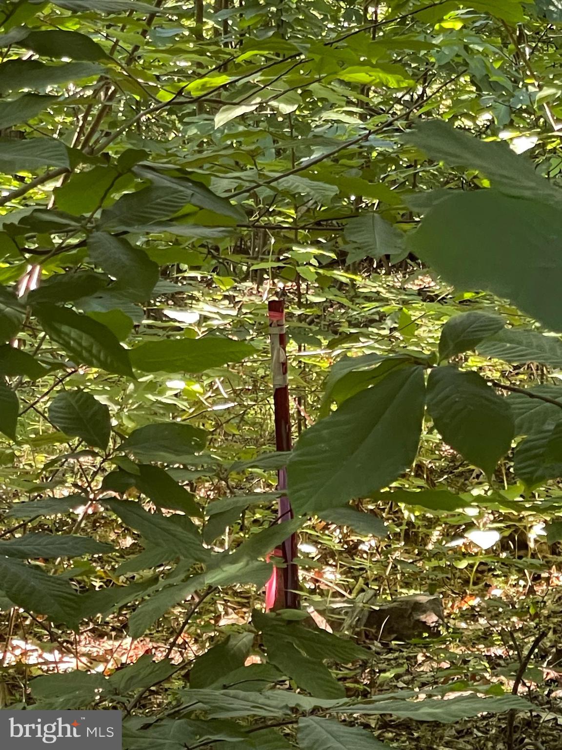 NONE AVAILABLE - Land