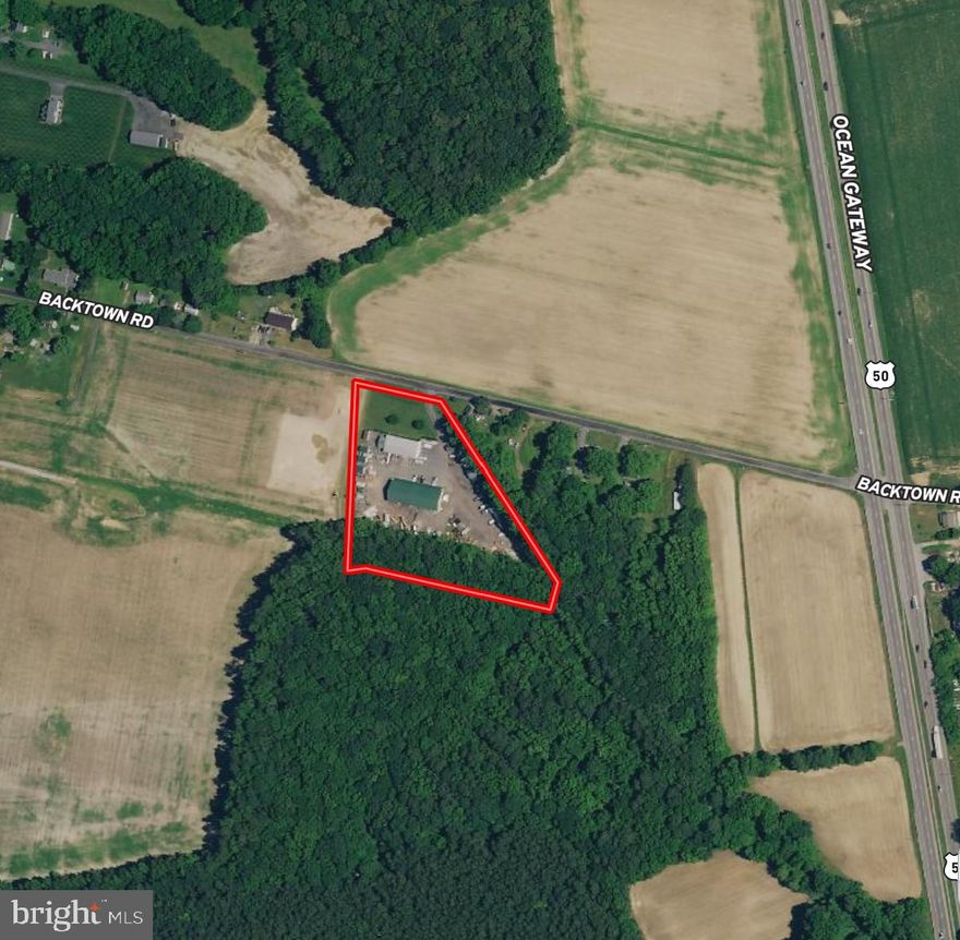 Great investment opportunity. One of only two light industrial zoned parcels in the Town of Trappe. 3.3 +/- acres conveniently located 1000 ft off of US RT 50 and less than half a mile from the sprawling Lakeside development. This property includes four multi use buildings totaling nearly 20,000 sq ft and consisting of 14 rental units that are currently leased. Option to build another 3200 sq ft unit is available. Located in town limits with private septic and well service. Commercial properties of this magnitude are rare in the county and don't come available very often.