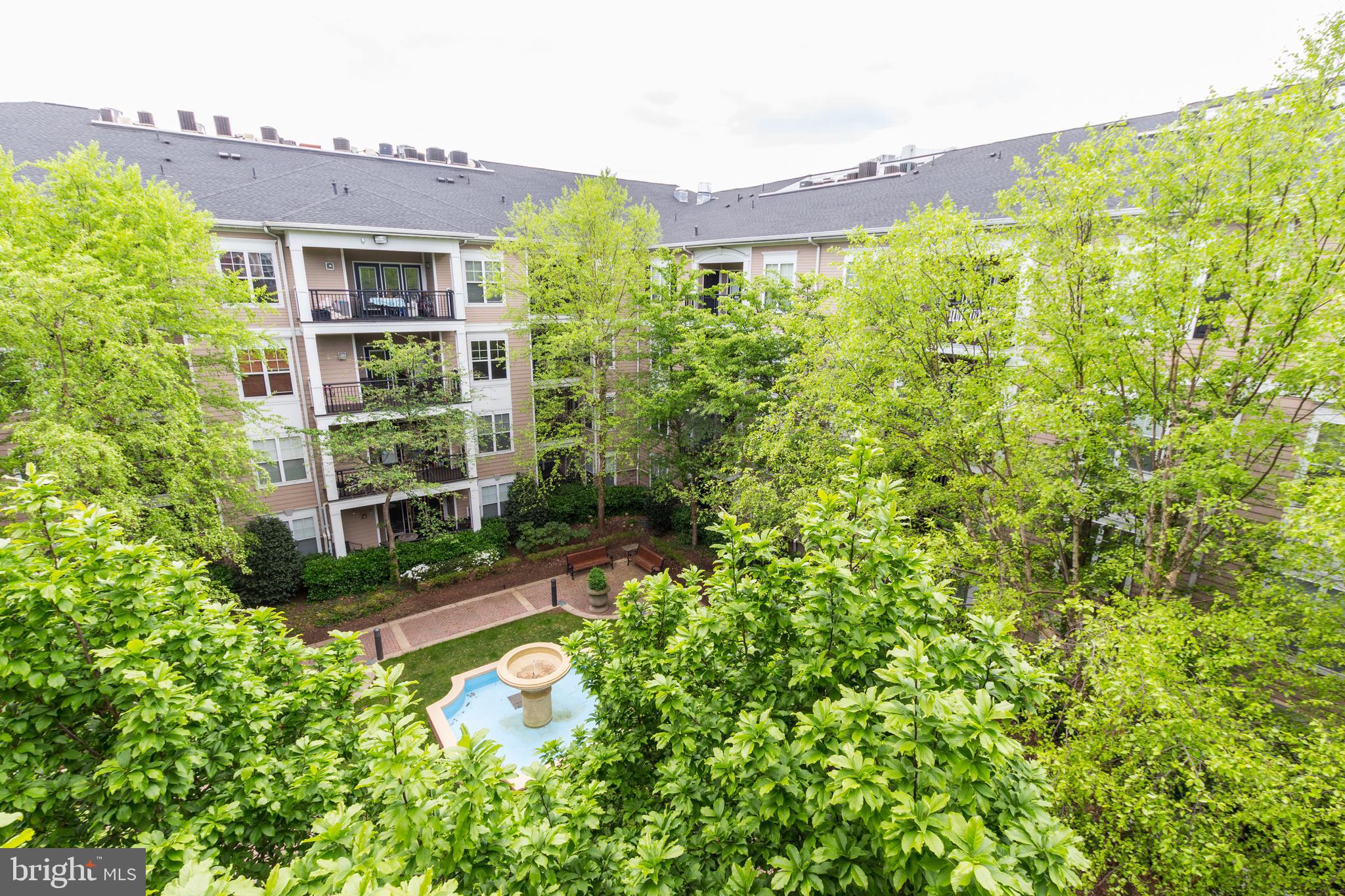 FITZ AT ROCKVILLE TOWN C - Residential