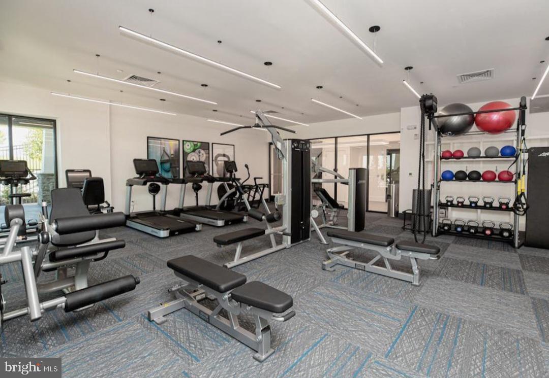 PRESERVE AT MARSH CREEK - HERITAGE COLLECTION - Residential