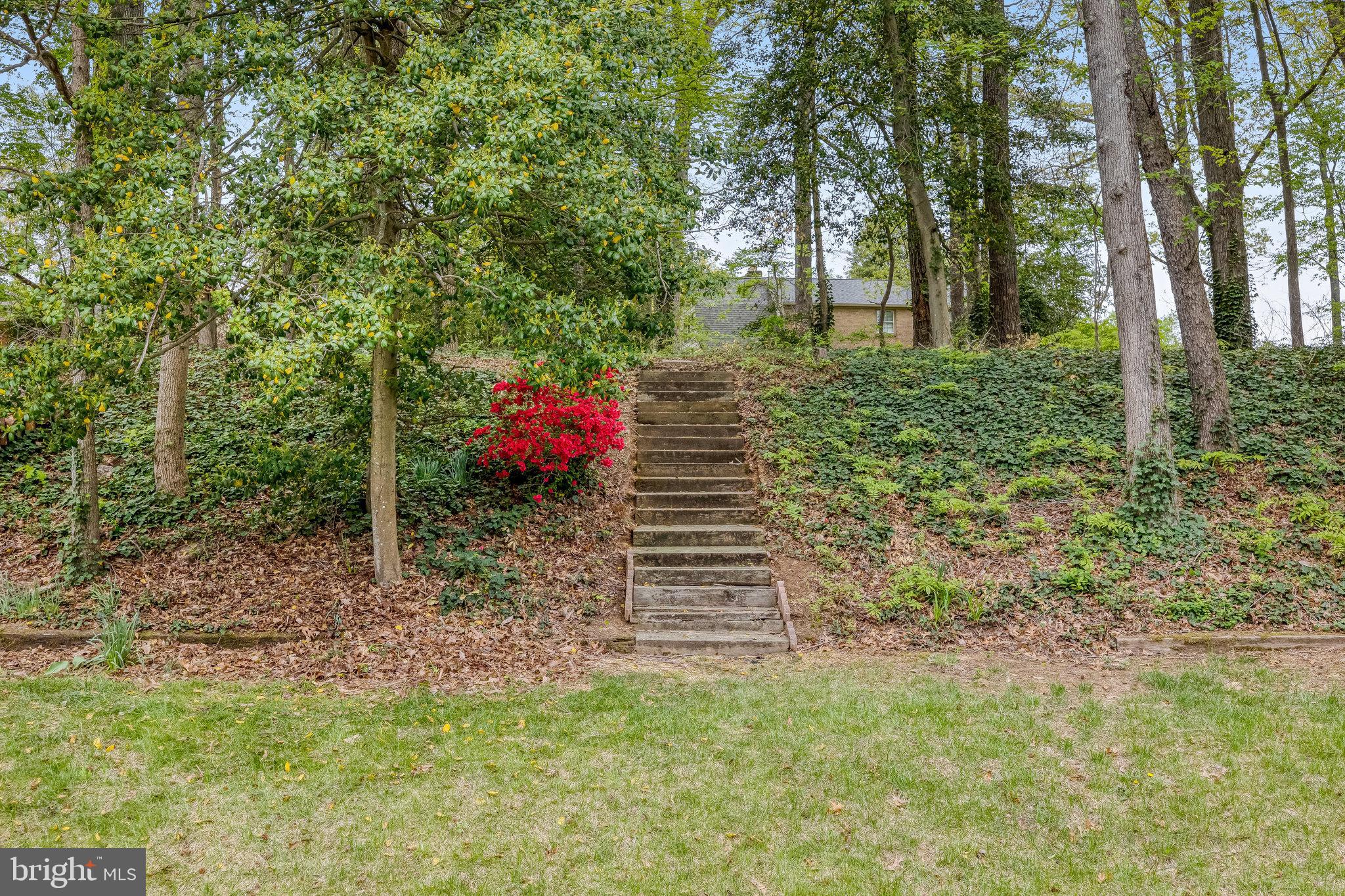 MT VERNON FOREST - Residential