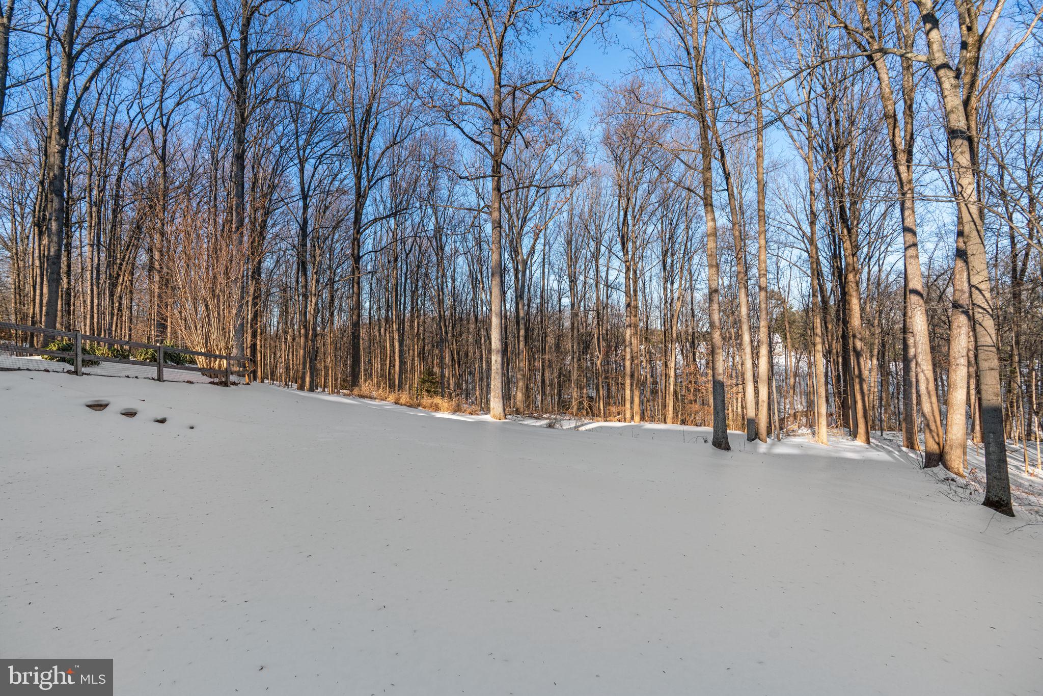 BRETTON WOODS - Residential