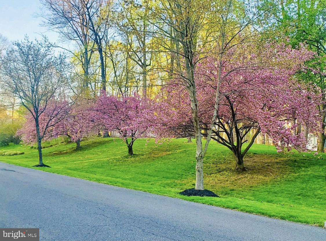 BRETTON WOODS - Residential