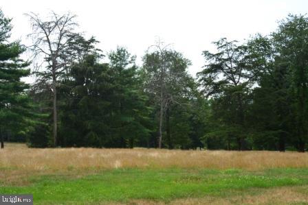 82 STRAW HOLLOW