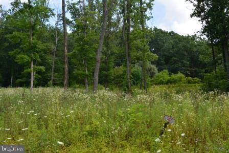 HOMES OF FELICITA - Land